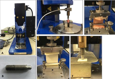 why is preloading important in soft tissue testing|Biomechanical Characterization of Human Soft Tissues Using .